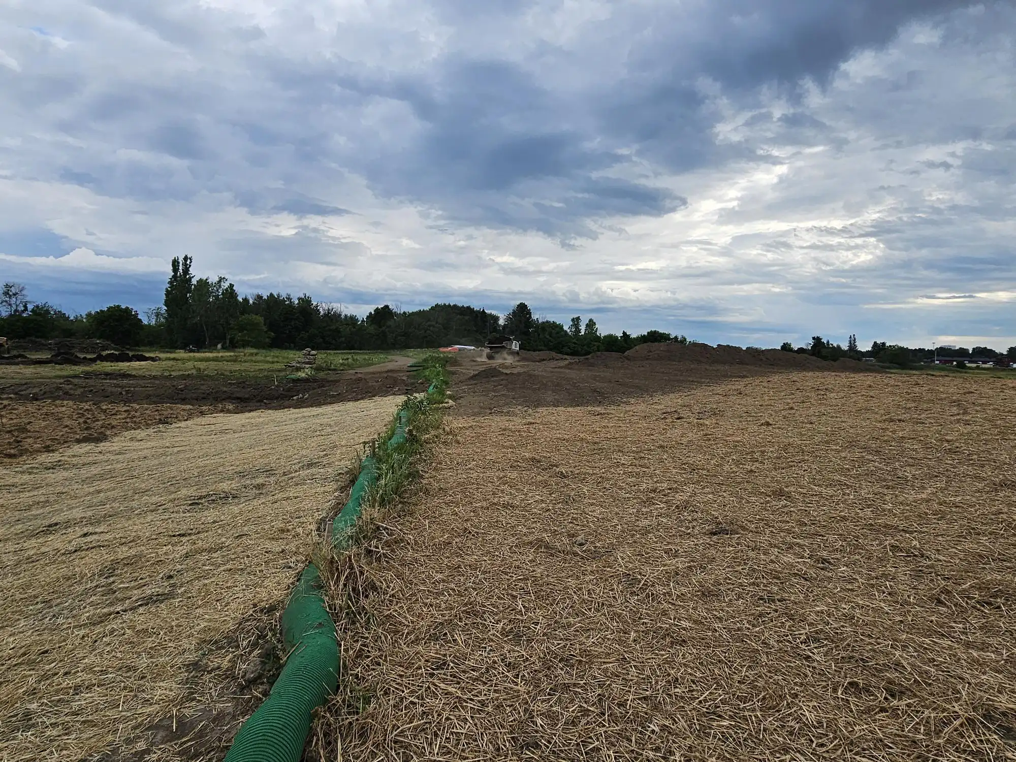 Rouses-Point-Wetland-Mitigation-July-1
