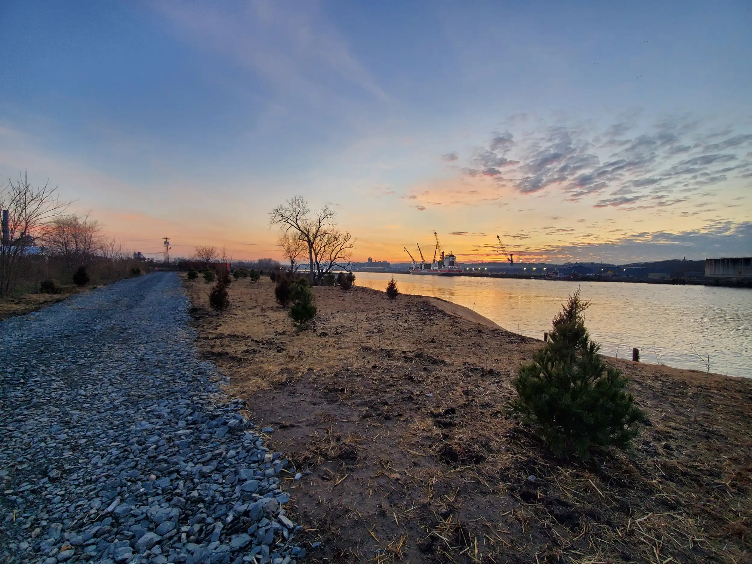 Environmental_4Wetland-Restoration-